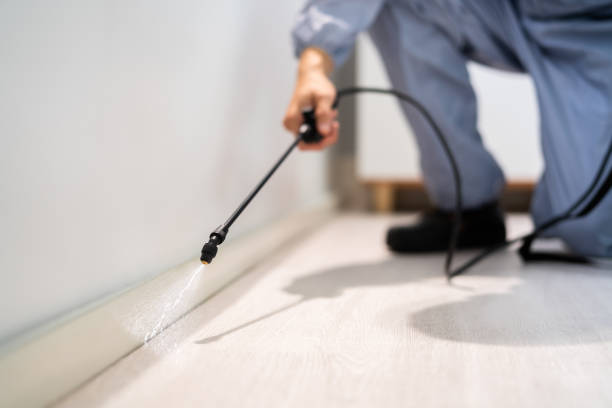 Licensed Cockroach Control service in Coon Rapids, MN - Nex Pest Control